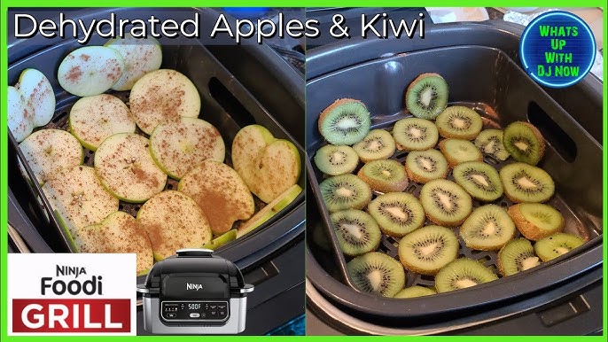 Ninja Foodi Dehydrator Review – In Dianes Kitchen