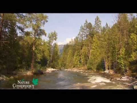 30 second rock Be a Force of Nature (30 second PSA)
