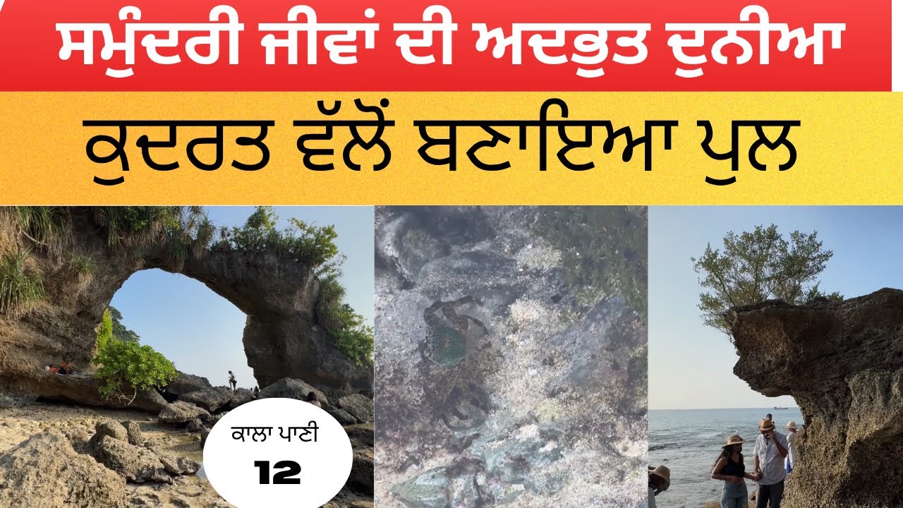 ਕੁਦਰਤ ਦਾ ਅਦਭੁੱਤ ਅਜੂਬਾ ਹੈ ਇਹ ਕੁਦਰਤੀ ਪੁਲ ।।Natural Bridge Neil Island ।।Laxamanpur Beach Andaman