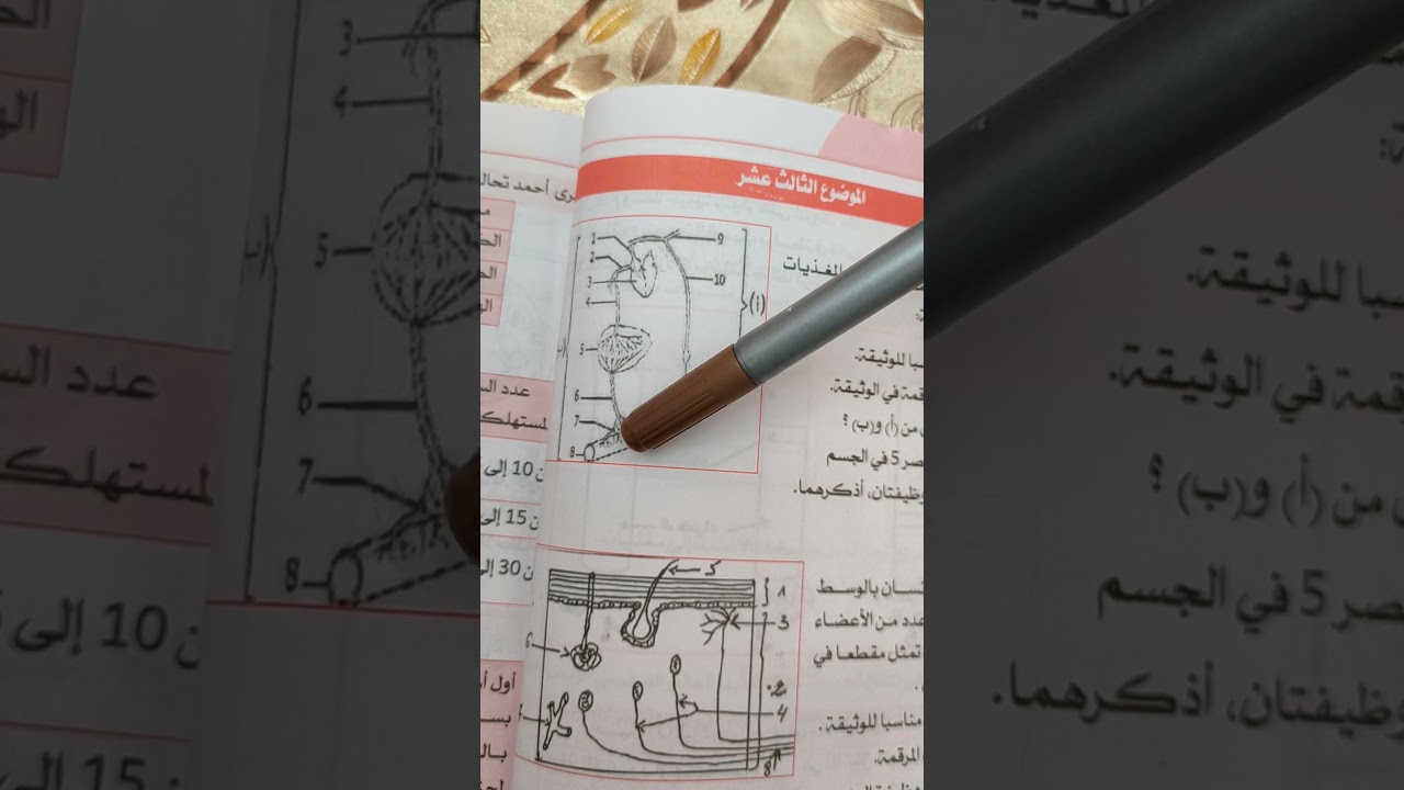 تمرين حول طريقا الامتصاص سنة رابعة متوسط