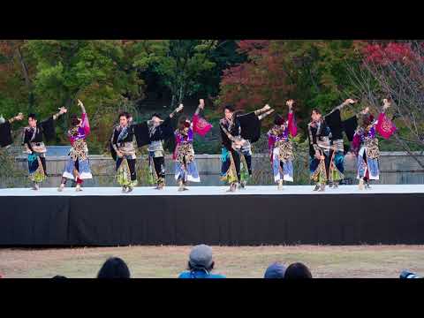 -京都西陣阿国-～第17回紀州よさこい祭り～おどるんや