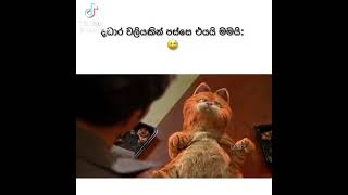 😹😅😁 #trendingshorts #trend #garfield