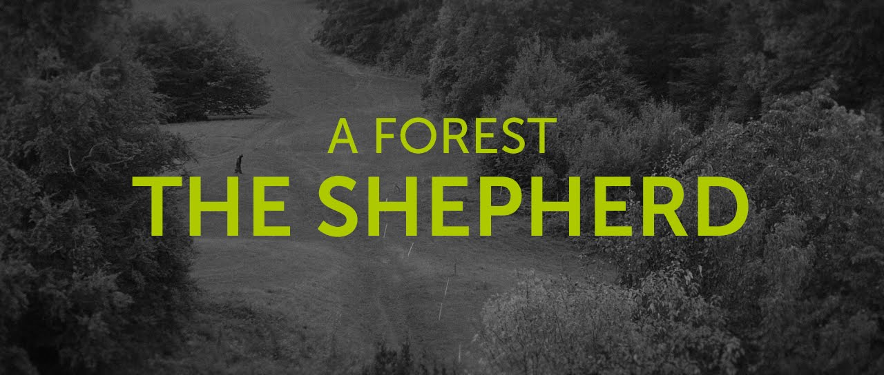 Watch A FOREST / The Shepherd on YouTube Watch A FOREST / The Shepherd on YouTube