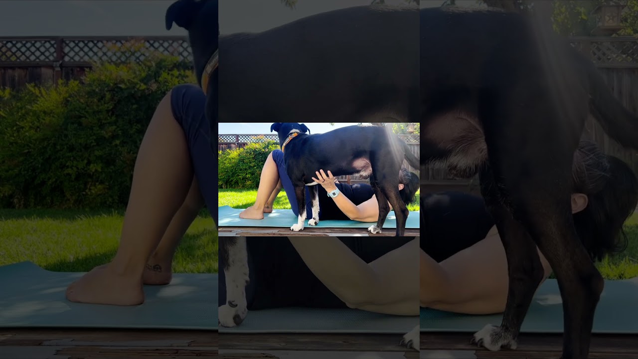 😂🐾 Pilates with a Pup! 