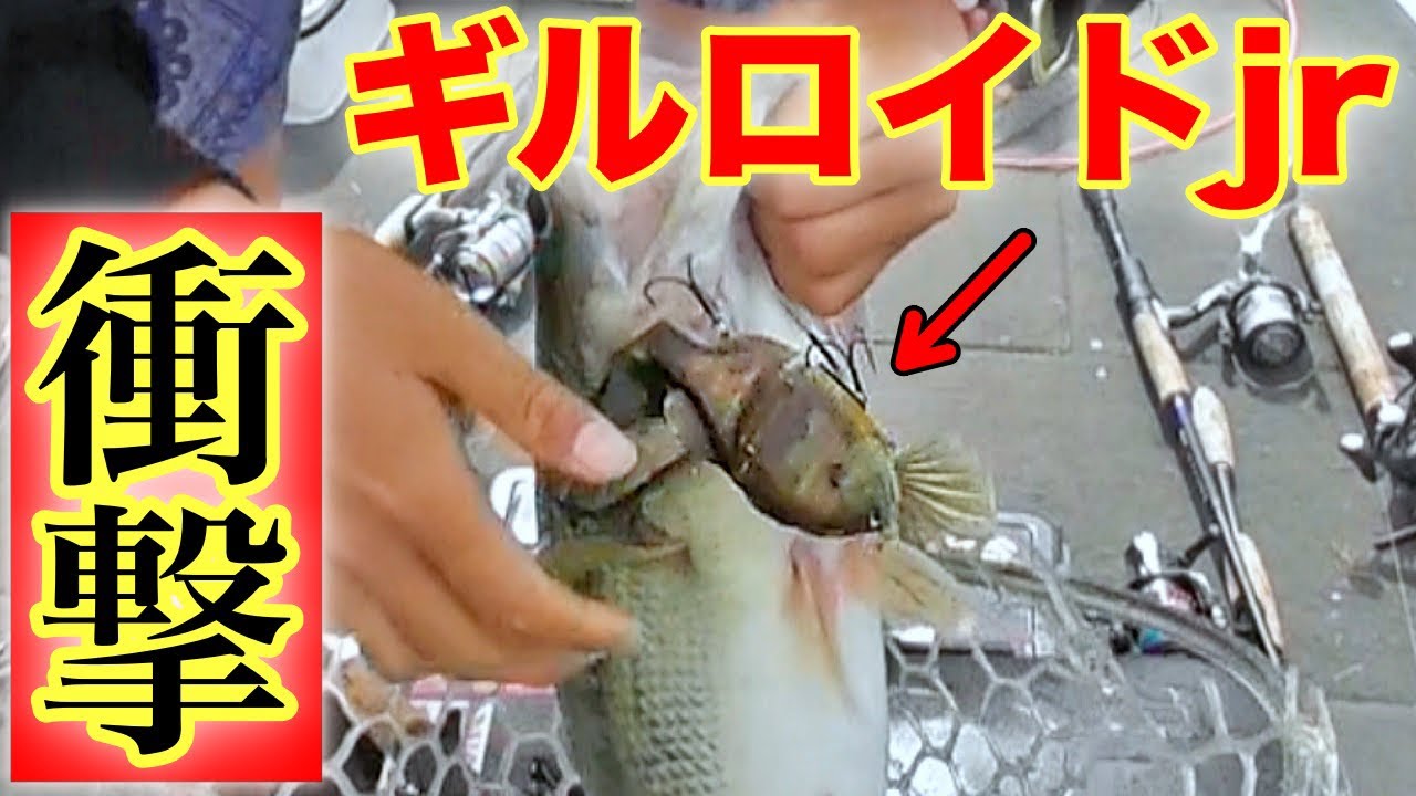 ギルロイドjrが大炸裂！！使い方も分かる衝撃の1匹！！(試合編) - YouTube