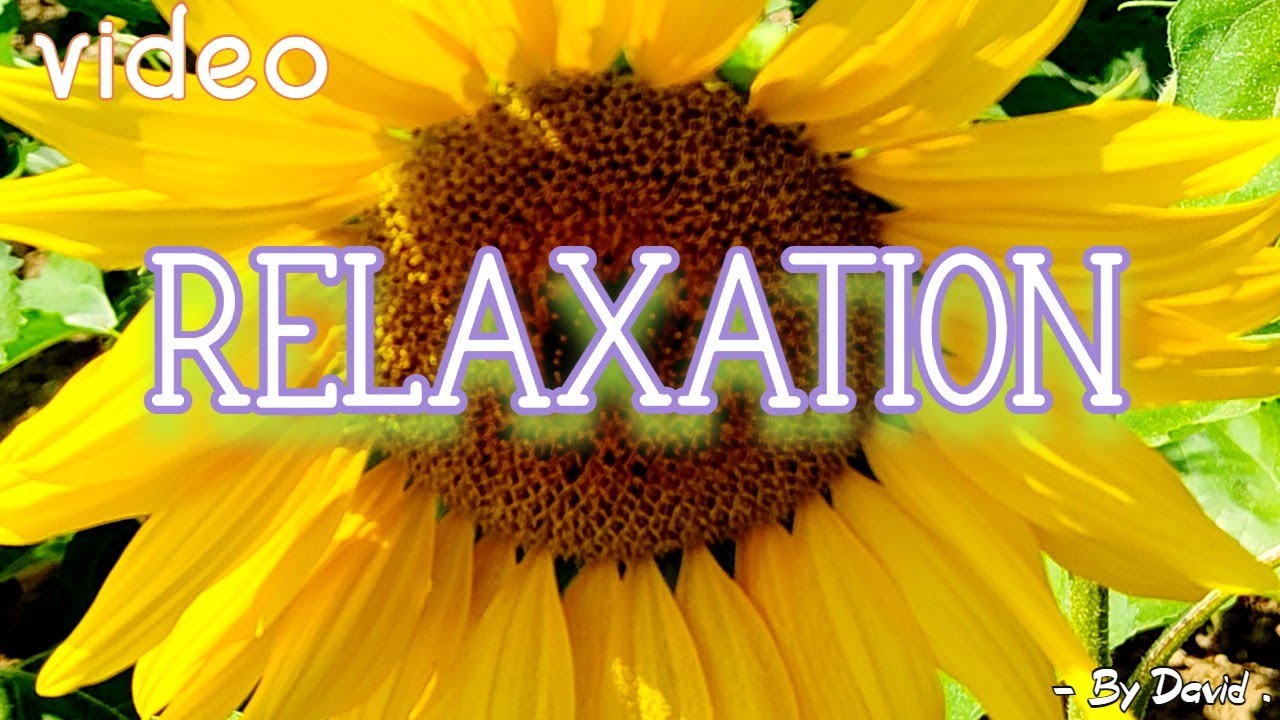 Places To Relax In North India