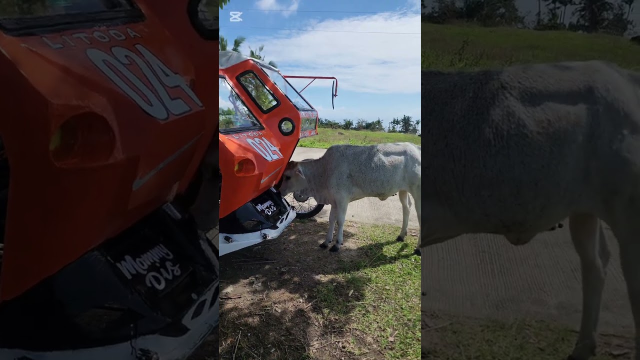 LIMASAWA ISLAND (Nov. 4-7, 2025)