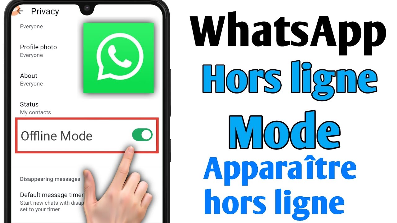 Comment apparaître hors ligne sur WhatsApp (2025) | Mode hors ligne WhatsApp