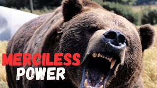 Revealing Why Bears Rule the Wild by PetMastery 434 views 2 months ago 7 minutes, 37 seconds