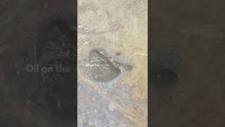 When Oil Creek Caught Fire | A Minute in History #pennsylvaniahistory #science #oilhistory