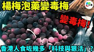 嚇親！漳州楊梅泡「違禁神仙水」變毒梅！工人自己都嫌棄，竟日賣5000斤呃到全港人仲懵盛盛？