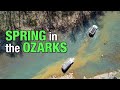 Spring in the ozarks  2024 spring patreon weekend