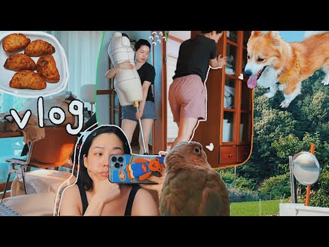 🌱291 Vlog I 걱정이 많아 집을 뒤엎는 브이로그 I 김갈릭