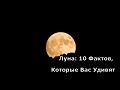 Луна: 10 Фактов, Которые Вас Удивят