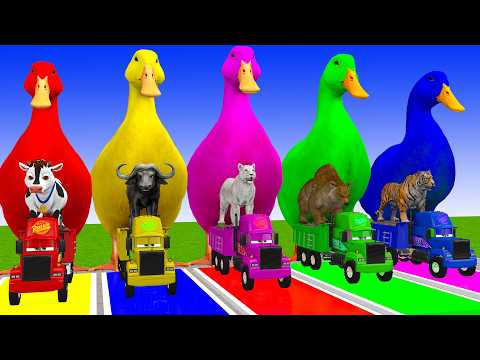 Long Slide Game With Cow Elephant Gorilla Hippopotamus Tiger 3d Animal Game Funny 3d Animals