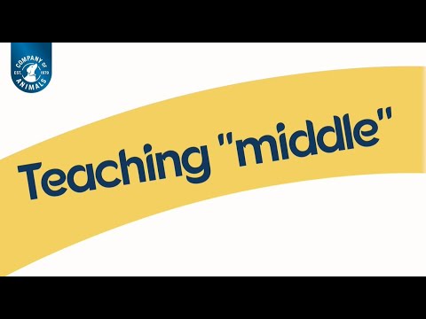 Teaching "middle"