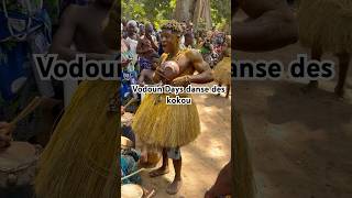 Vodoun Days Bénin Danse Des Kokou Dans Le Forêt Sacré De Ouidah Kpè Zounmin