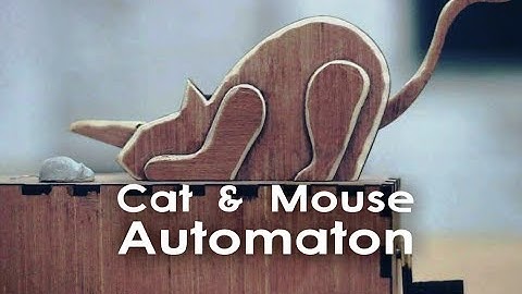 Cat & Mouse - Automaton