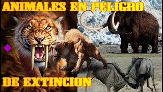 12 ANIMALES en PELIGRO de EXTINCION (2023)