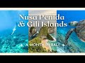 [BALI VLOG] NUSA PENIDA &amp; GILI ISLANDS 🏝 | A Month in Bali