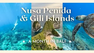 [BALI VLOG] NUSA PENIDA &amp; GILI ISLANDS 🏝 | A Month in Bali