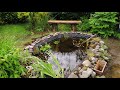 Scotland Officer Andrea&#39;s Lockdown Pond Project.