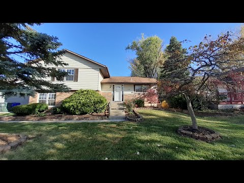 7720 W Sterling Dr, Frankfort, IL home video tour