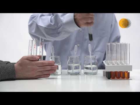 Video: ¿Cómo actúa la amilasa salival sobre el almidón?