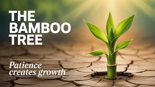 Detalles The Bamboo Tree – A Story About Patience & Growth | Inspirational Life Lessons Guía