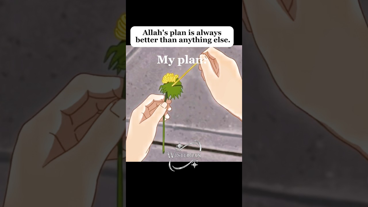 Allah’s plan better than others 🌹 