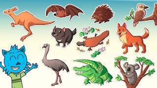 Gli Animali Australiani  | Video per bambini con i suoni e immagini reali! Details