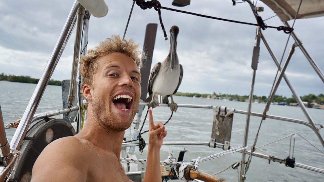 Our Boat Got Invaded by Pelicans! Sailing Ocean Around Ep. 76
