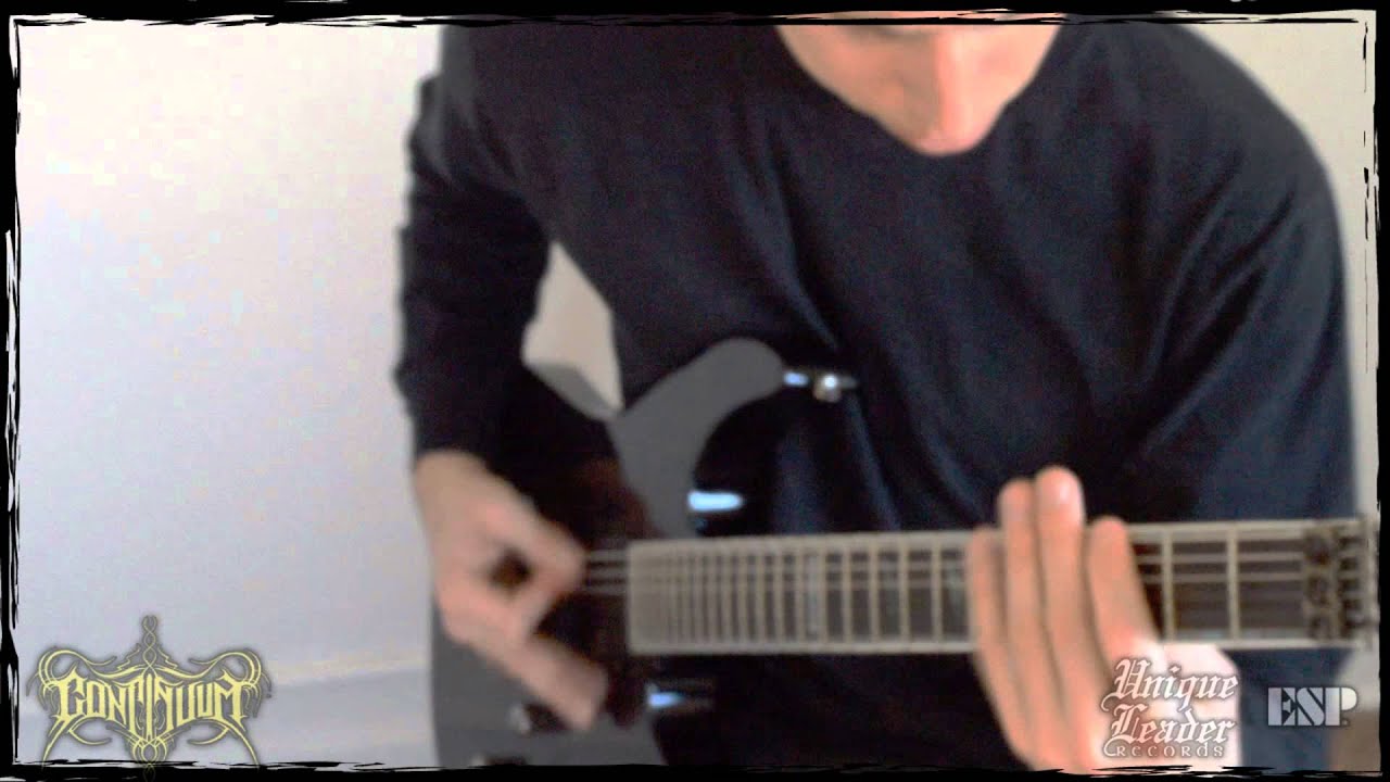 Continuum- "wasps in the history of the weak" official guitar playthrough