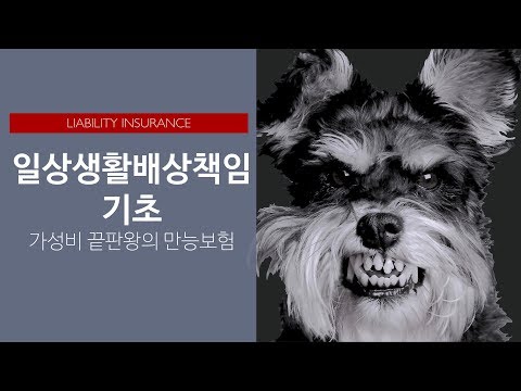 자동차보험피보험자