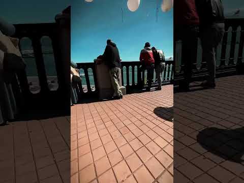 try for DJI