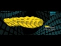 La Sportiva Mountain Running presents: MorphoDynamic Technology (ENG)