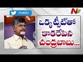 Chandrababu slams Jagan govt for planning to distribute mangrove forest land to beneficiaries