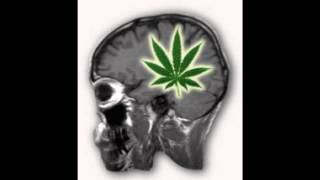 Star-E - Brain Cannabinoids