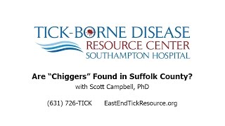 Are Chiggers Found in Suffolk County