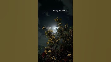القارئ أحمد العجمي سورة الأحزاب