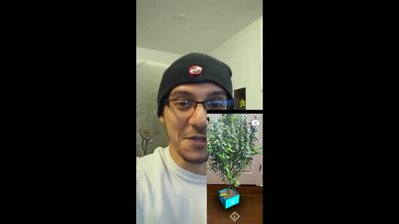 FIGR Budtender App Bud Trace - HYDRO HIGH VIEWS (Vertical Video)