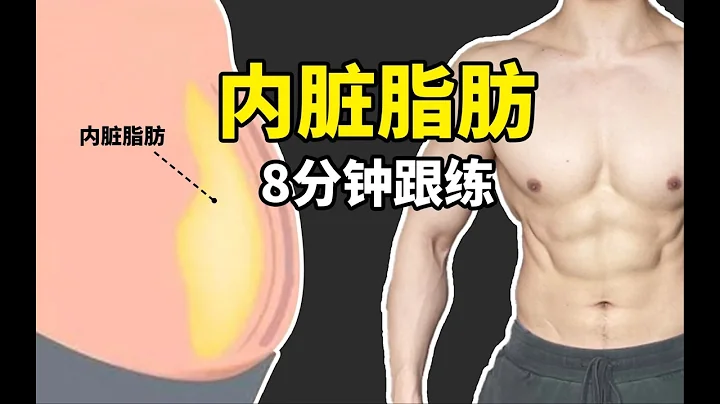 肚子大贅肉多   快速消除內臟脂肪   8分鐘跟練 - 天天要聞