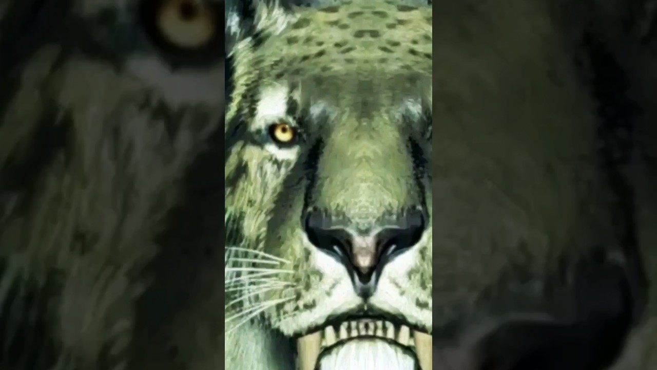 Face to face with SMILODON 😱🙀 #