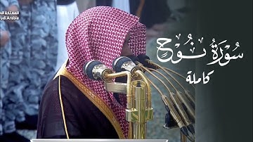 تلاوة لسورة نوح | الشيخ د. عبدالله القرافي فجر الاثنين 11-8-1446هـ