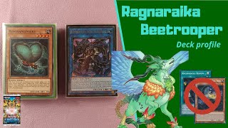 Yu-Gi-Oh! Ragnaraika Beetrooper DECK PROFILE! In-depth! (August 2024 format) No Bloom/Evil Seed!
