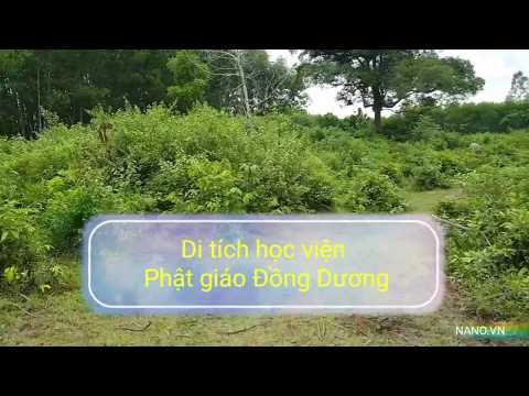Video Di tích cổ học viện Phật giáo Đồng Dương ở Thăng Bình... - youtube