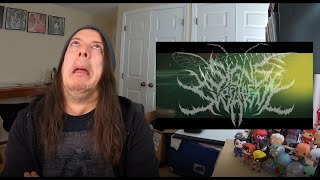 Signs of the Swarm "The Collection" Reaction