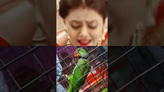 #gopi#ahem#rashi#jigar#vidya#meera@viralshort