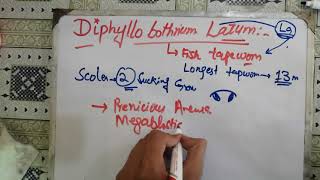 diphyllobothrium latum, 😋😋 diphyllobothrium latum life cycle.#parasitology #microbiology #fishworm