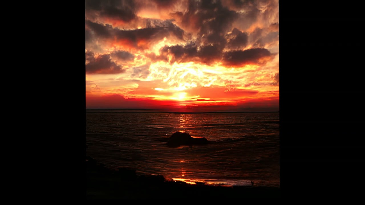 [FREE] Trippie Redd x Rage x Sad Hyperpop type beat 